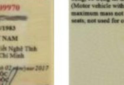 Cập nhật các loại giấy phép lái xe ô tô mới năm 2024